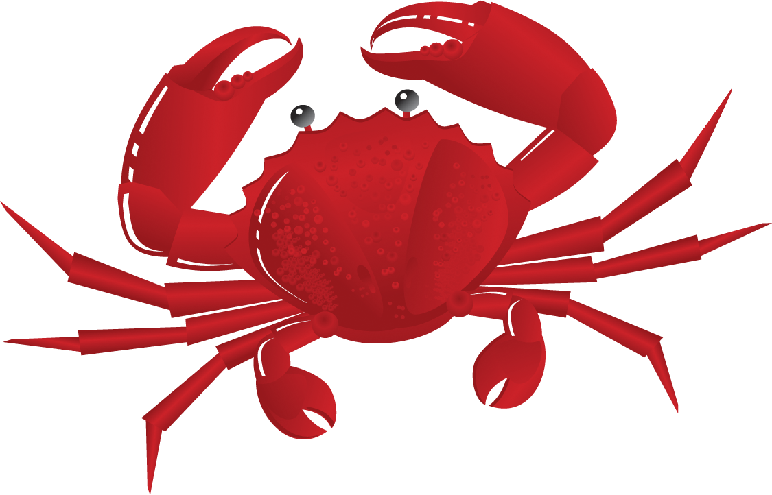Red Cartoon Crab Illustration PNG