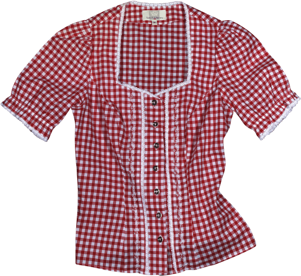 Red Checkered Blousewith Lace Trim PNG