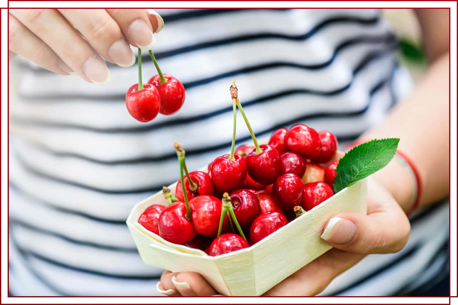 Freshly Picked Red Cherries on a Wooden Table Wallpaper