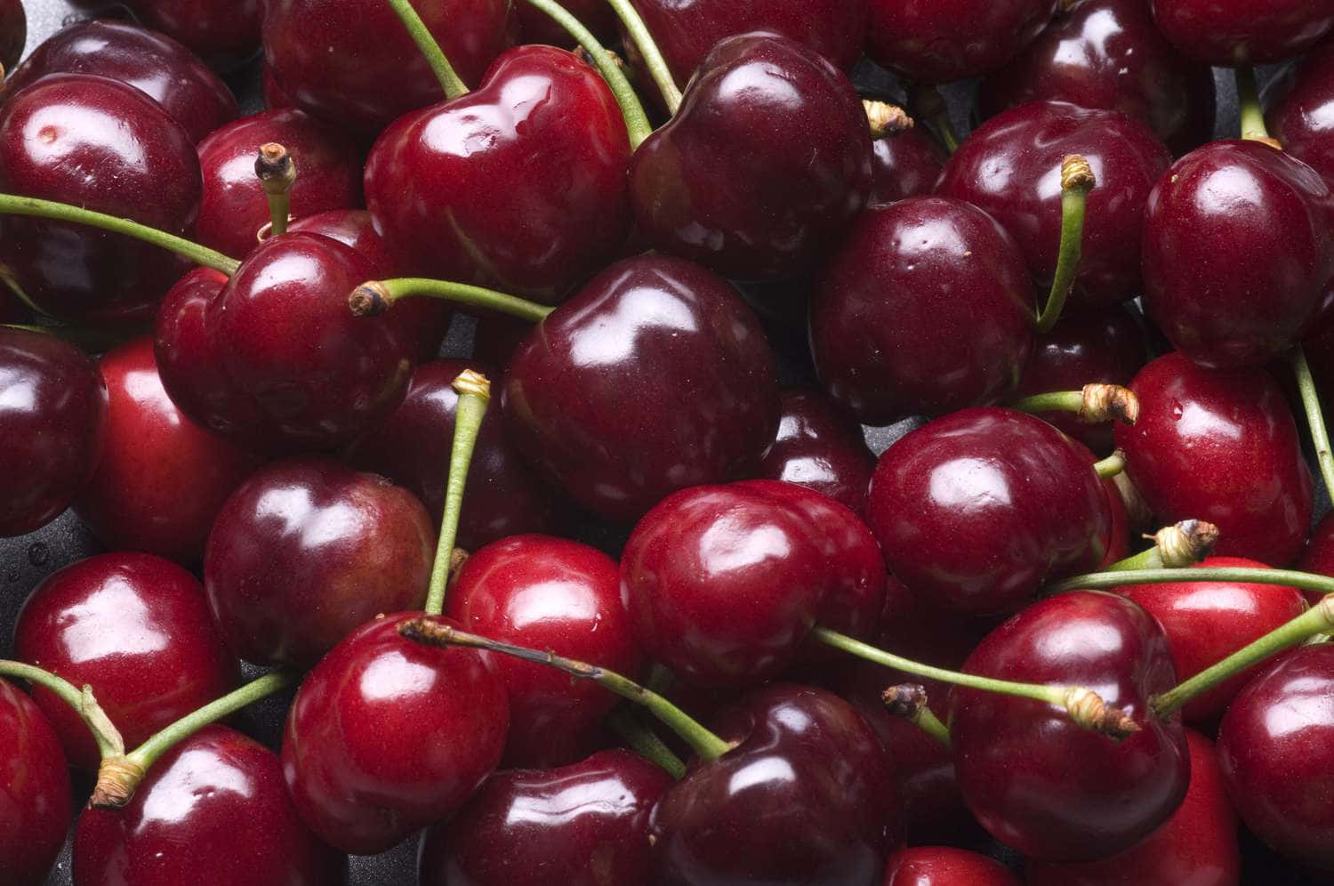 A close-up image of freshly picked red cherries Wallpaper