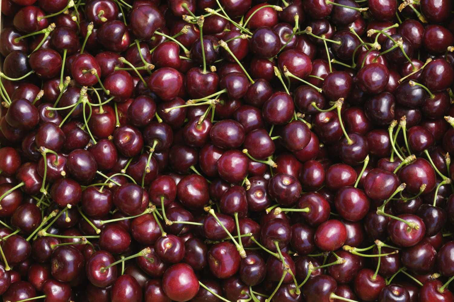 Fresh and juicy red cherries on a bright background Wallpaper