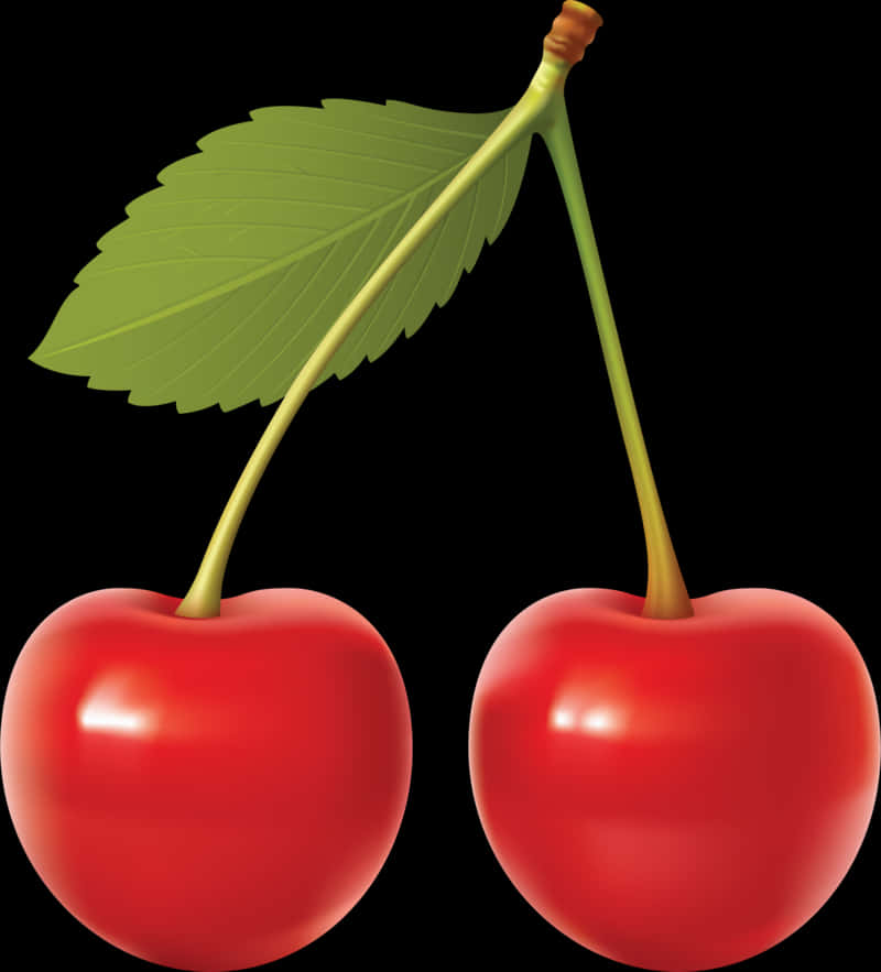 Red Cherrieswith Leaf PNG