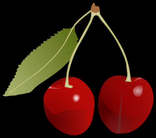 Red Cherrieswith Leaf Vector PNG
