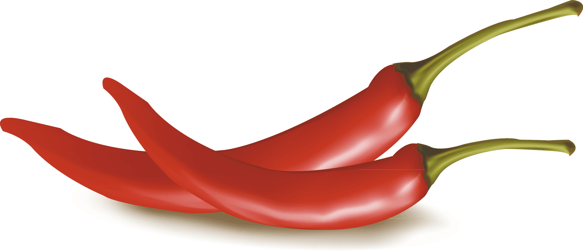Red Chili Peppers Vector Illustration PNG