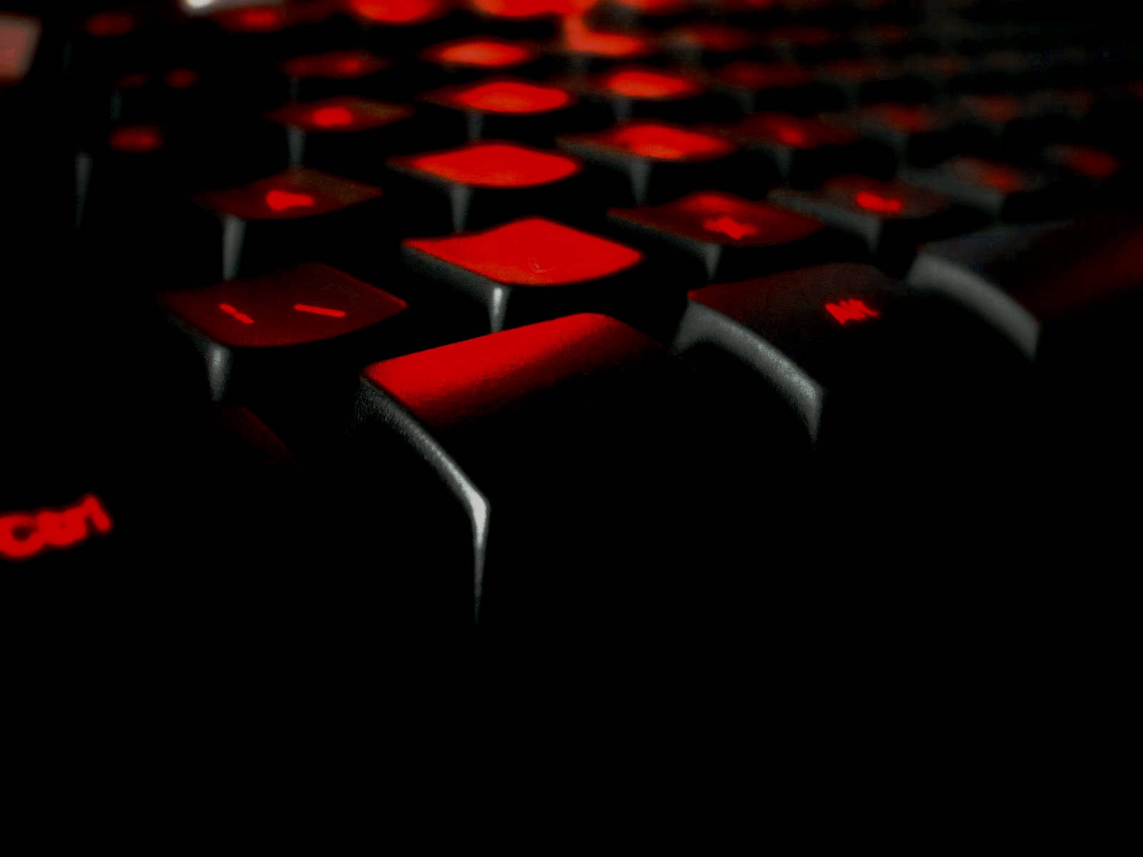 Red Close Up Computer Keyboard Picture