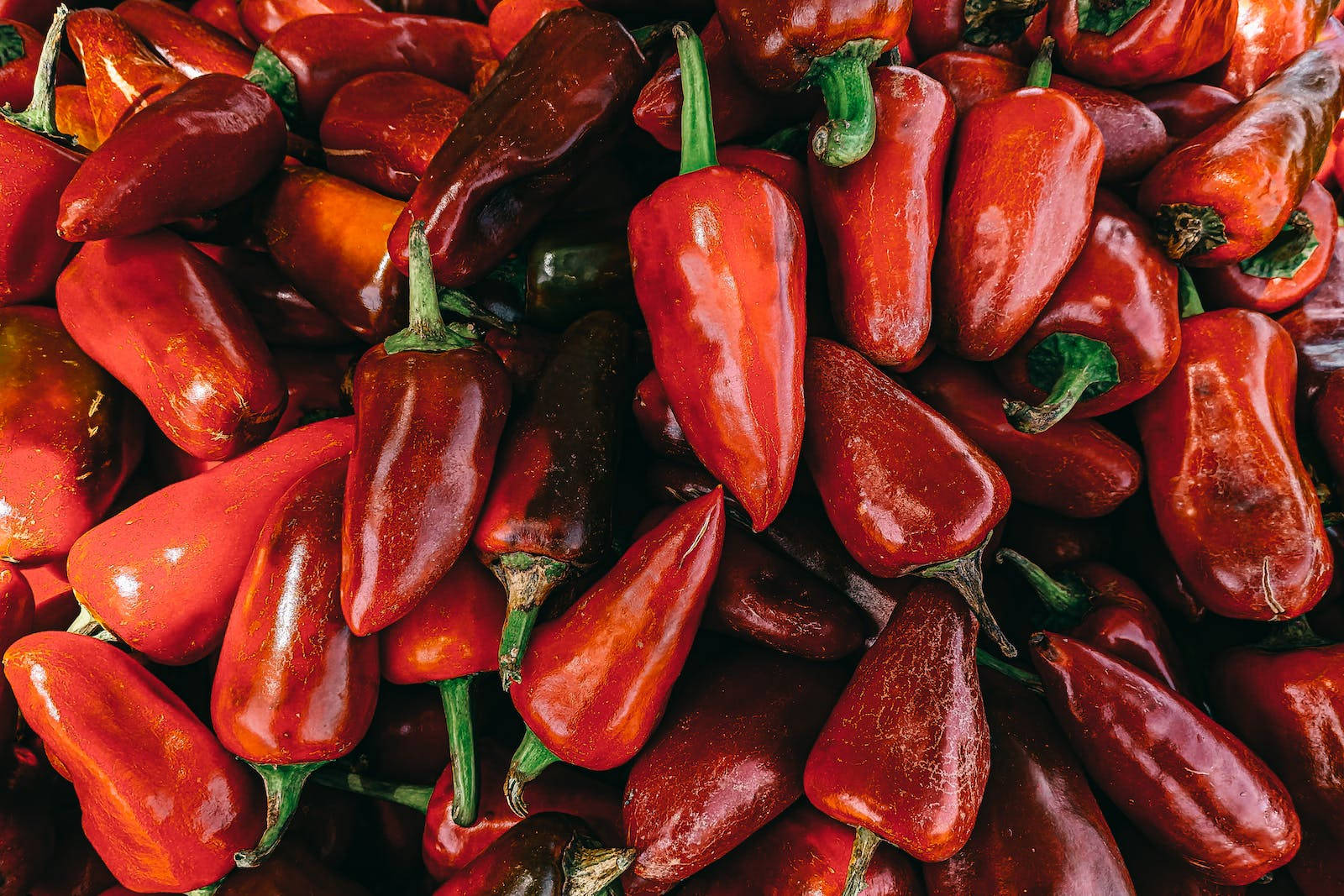 Coresvermelhas De Pimenta Chili. Papel de Parede