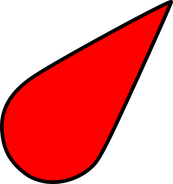 Red Compass Arrow PNG