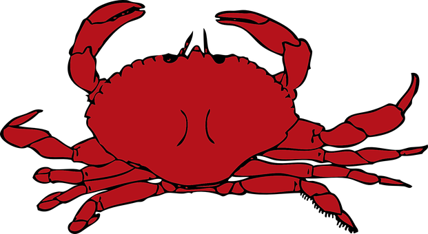 Red Crab Illustration PNG