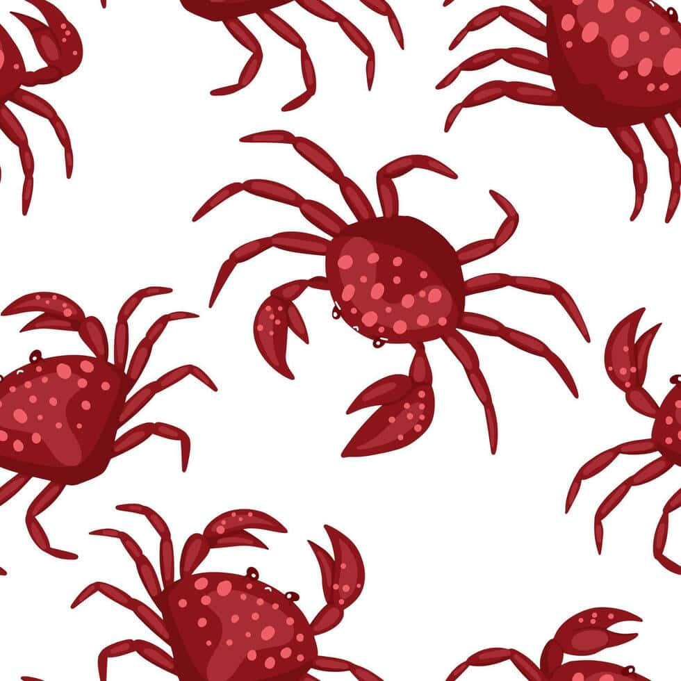 Red Crab Pattern Illustration Wallpaper