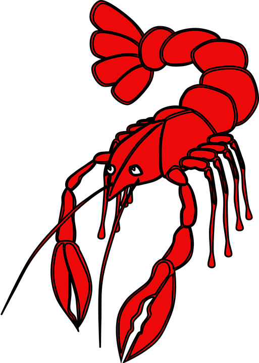Red Crayfish Illustration PNG