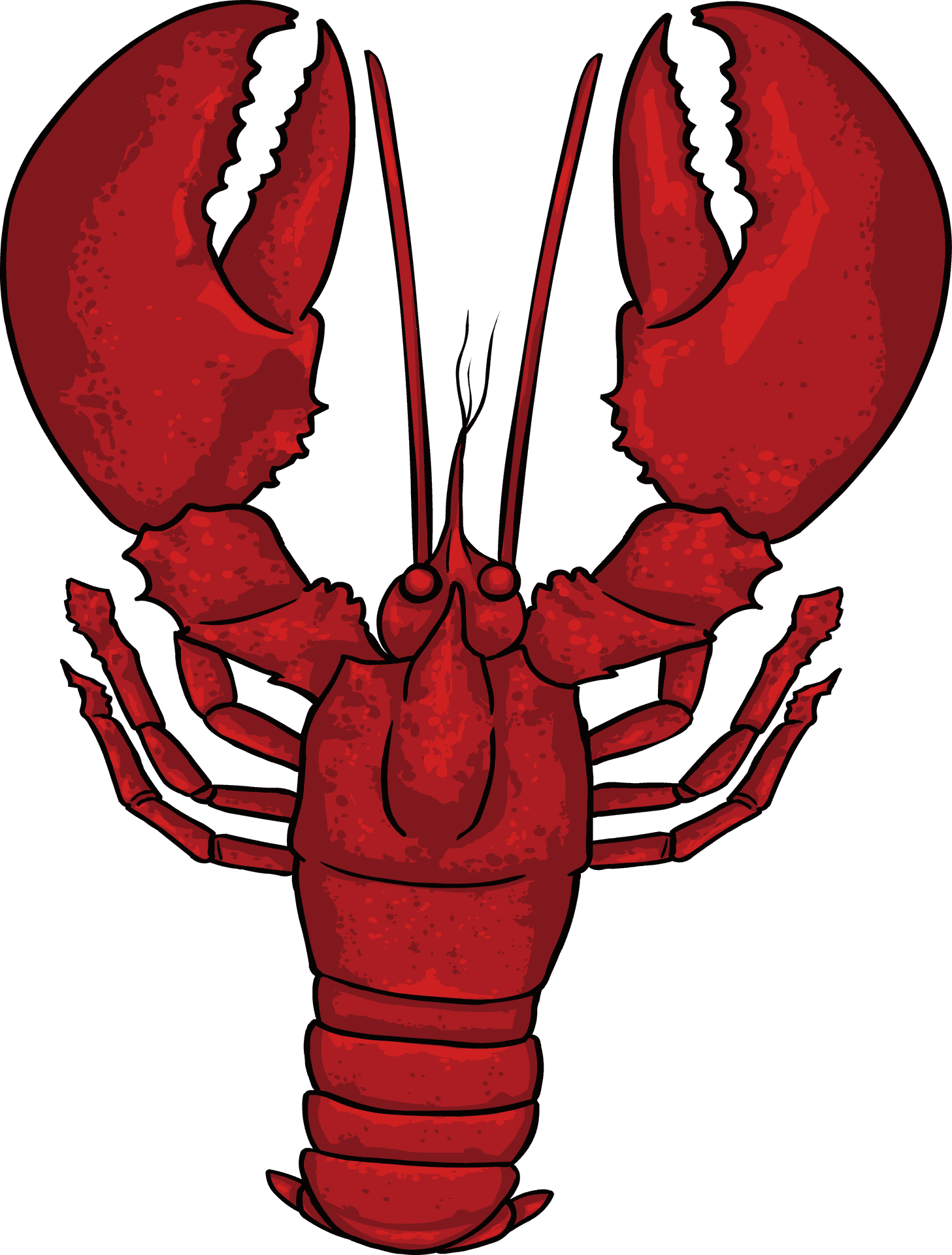 Red Crayfish Illustration PNG