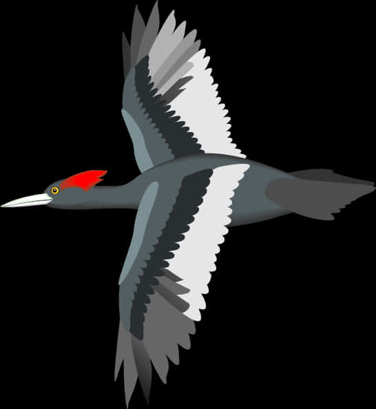 Red Crested Waterbird Illustration PNG