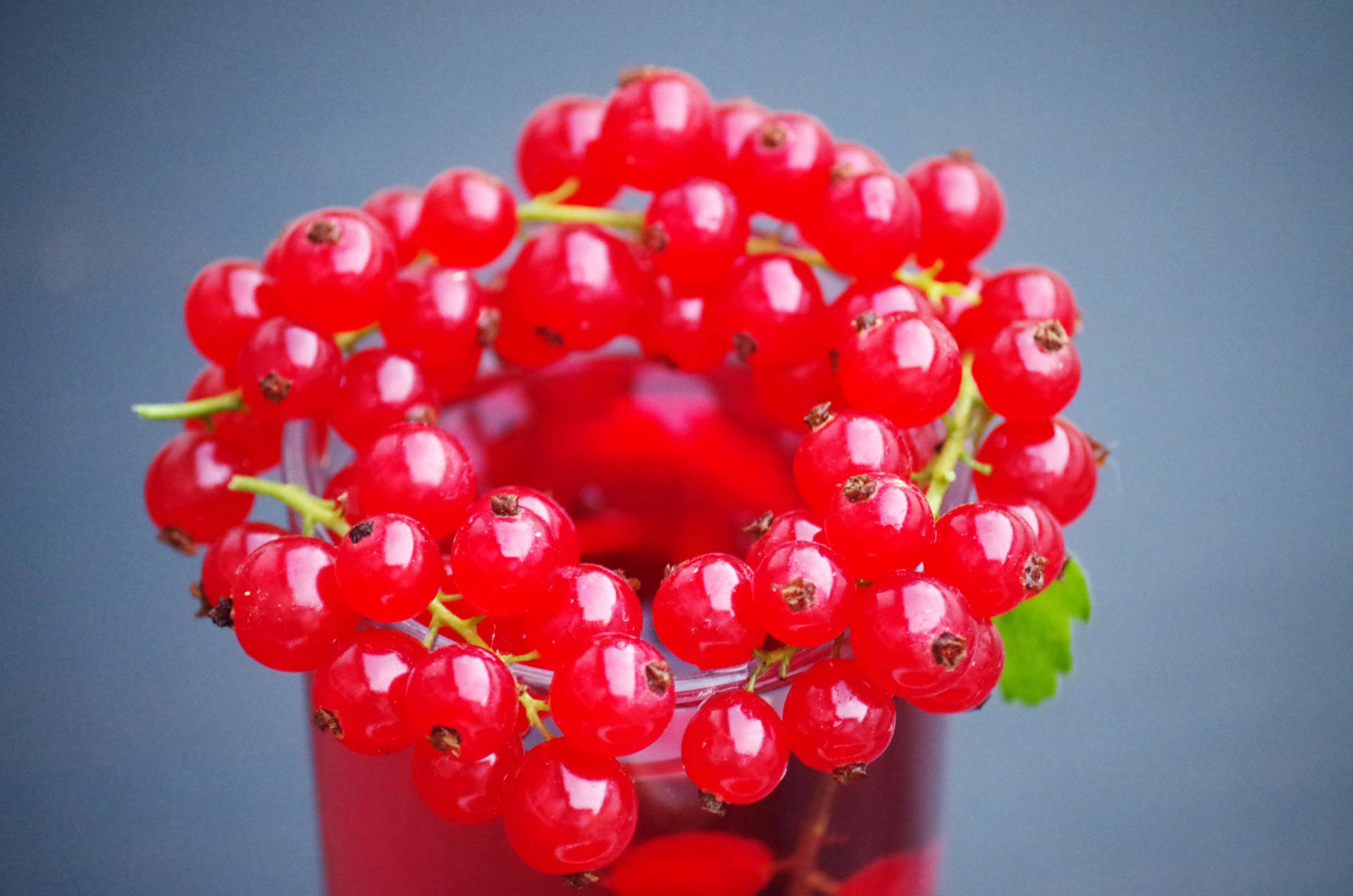 Red Currant Fruits Glass Drink Wallpaper
