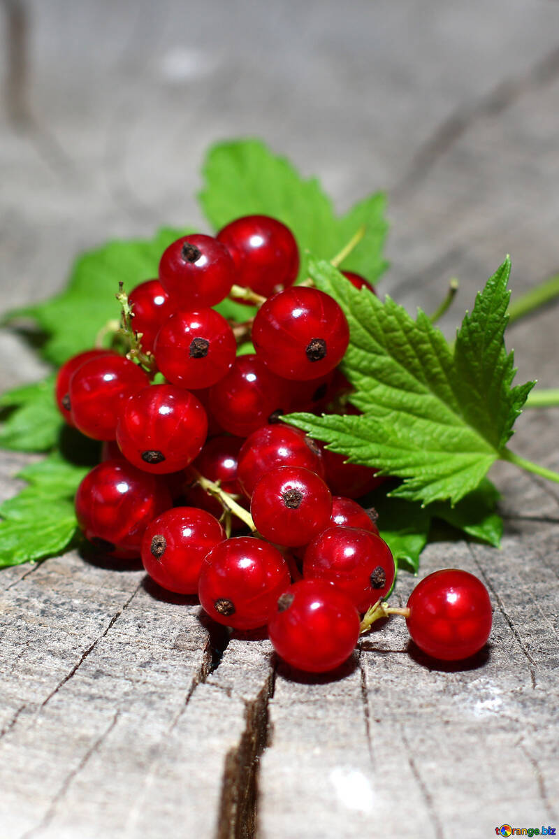 Red Currant Fruits Healthy Food Dessert Wallpaper