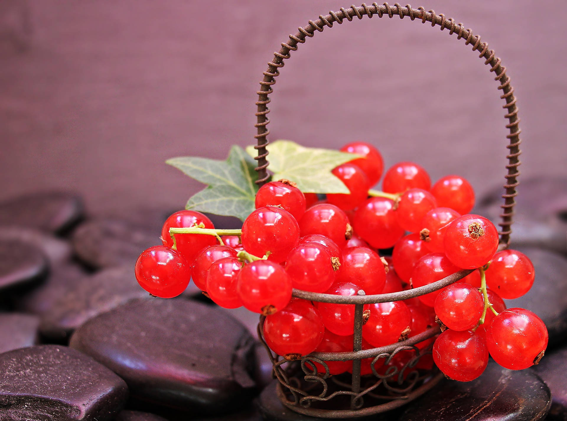 Red Currant Sweet Fruit Basket Wallpaper