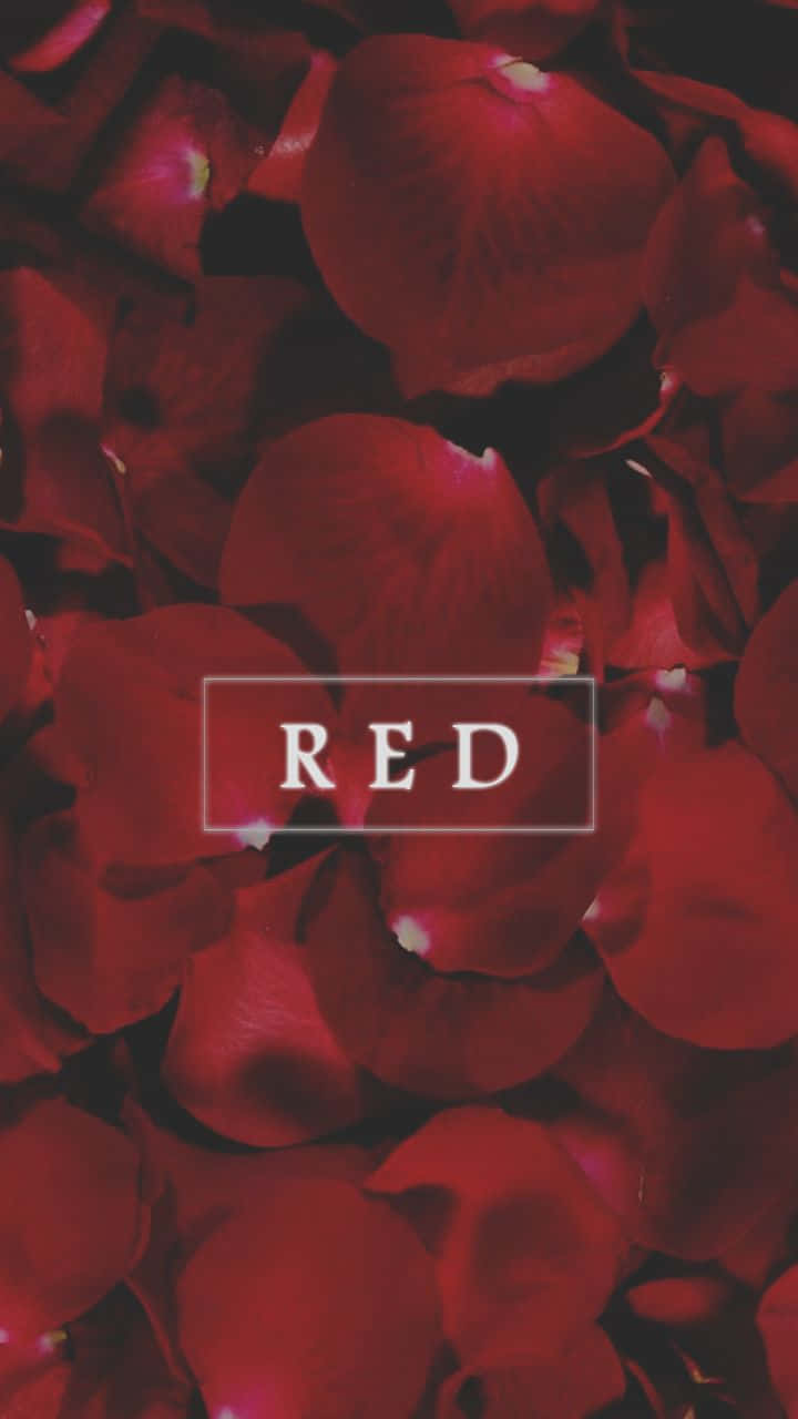 Red Cute Aesthetic Petals Wallpaper