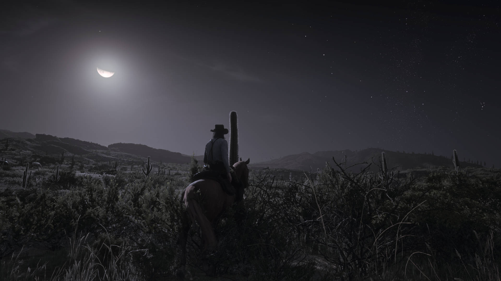 Red Dead Redemption 2 Screenshot Wallpaper