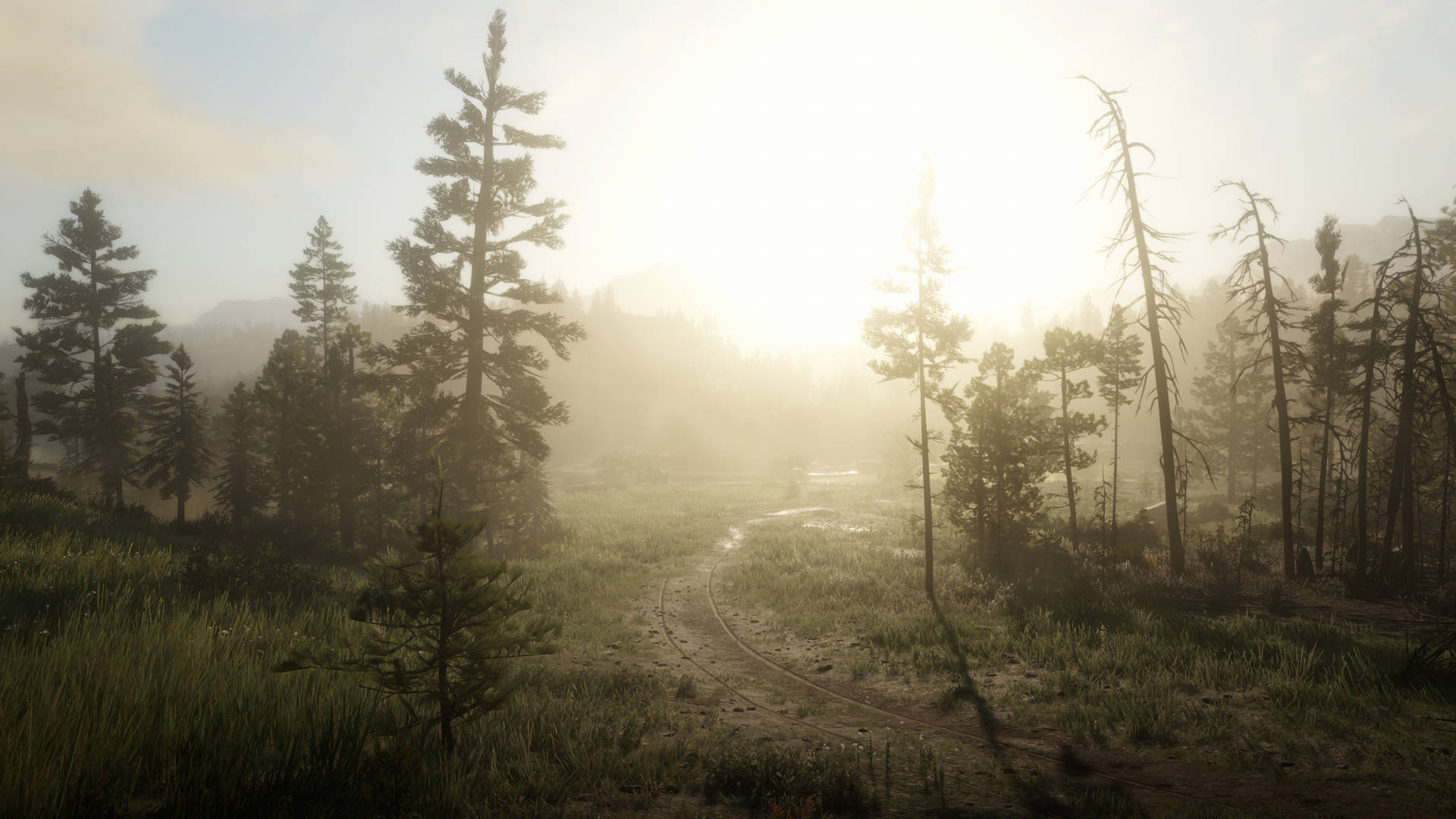 Discover a World of Adventure in Red Dead Redemtion 2 Wallpaper