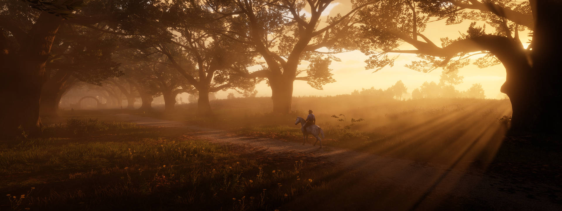 Saddle Up and Explore the Wild West in Red Dead Redemption 2 Wallpaper