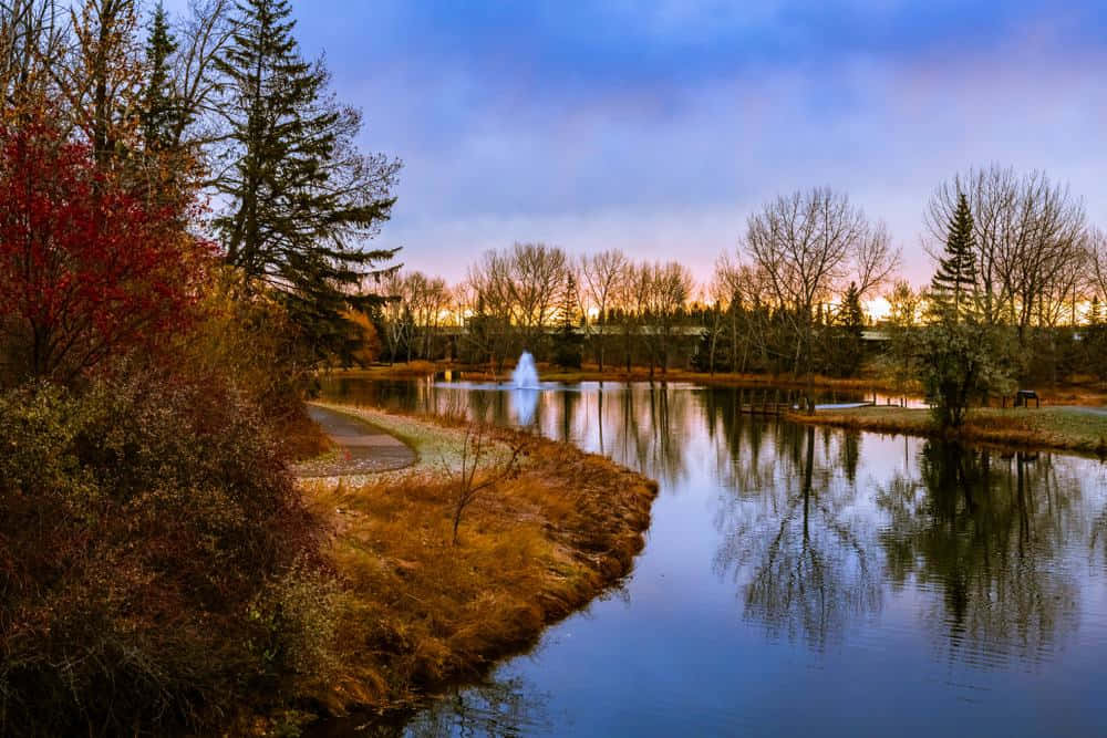 Red Deer Park Sunset Reflection Wallpaper