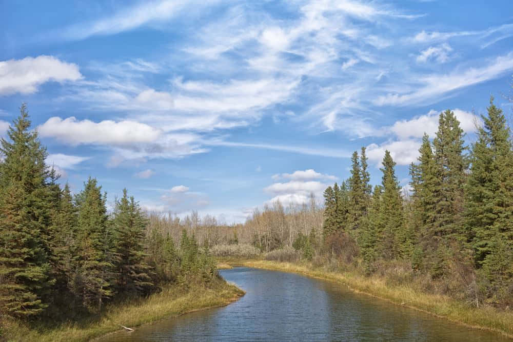 Red Deer River Serenity Canada Wallpaper