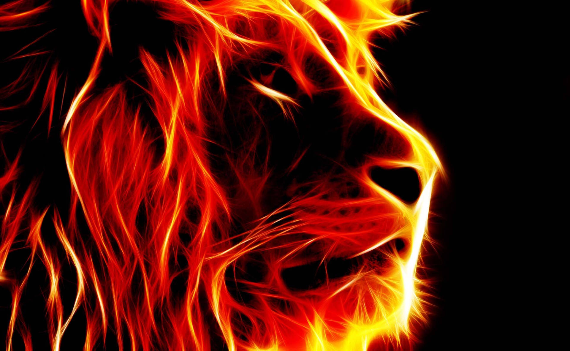 A Lion's Head In Flames On A Black Background Wallpaper