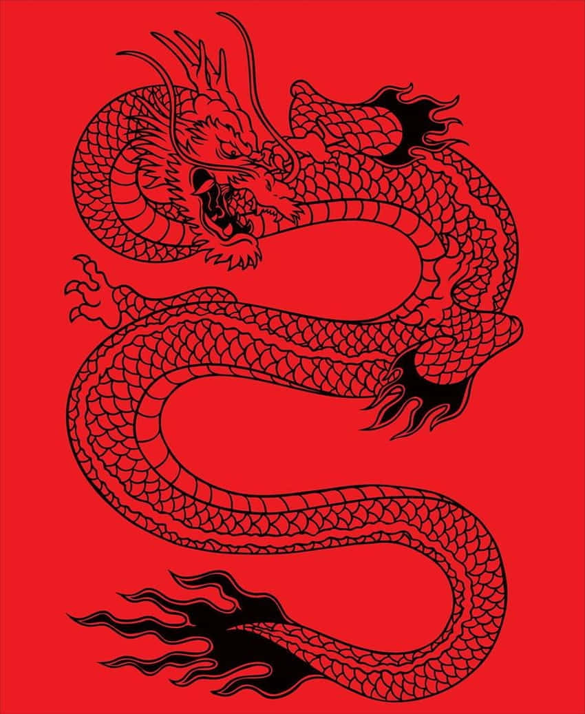 Red Dragon Illustration Wallpaper
