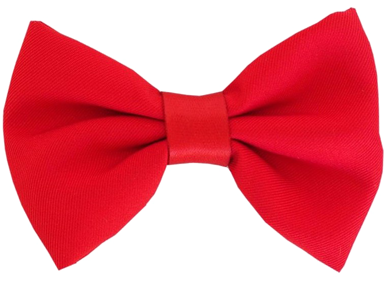 Red Fabric Bow Tie Isolated PNG