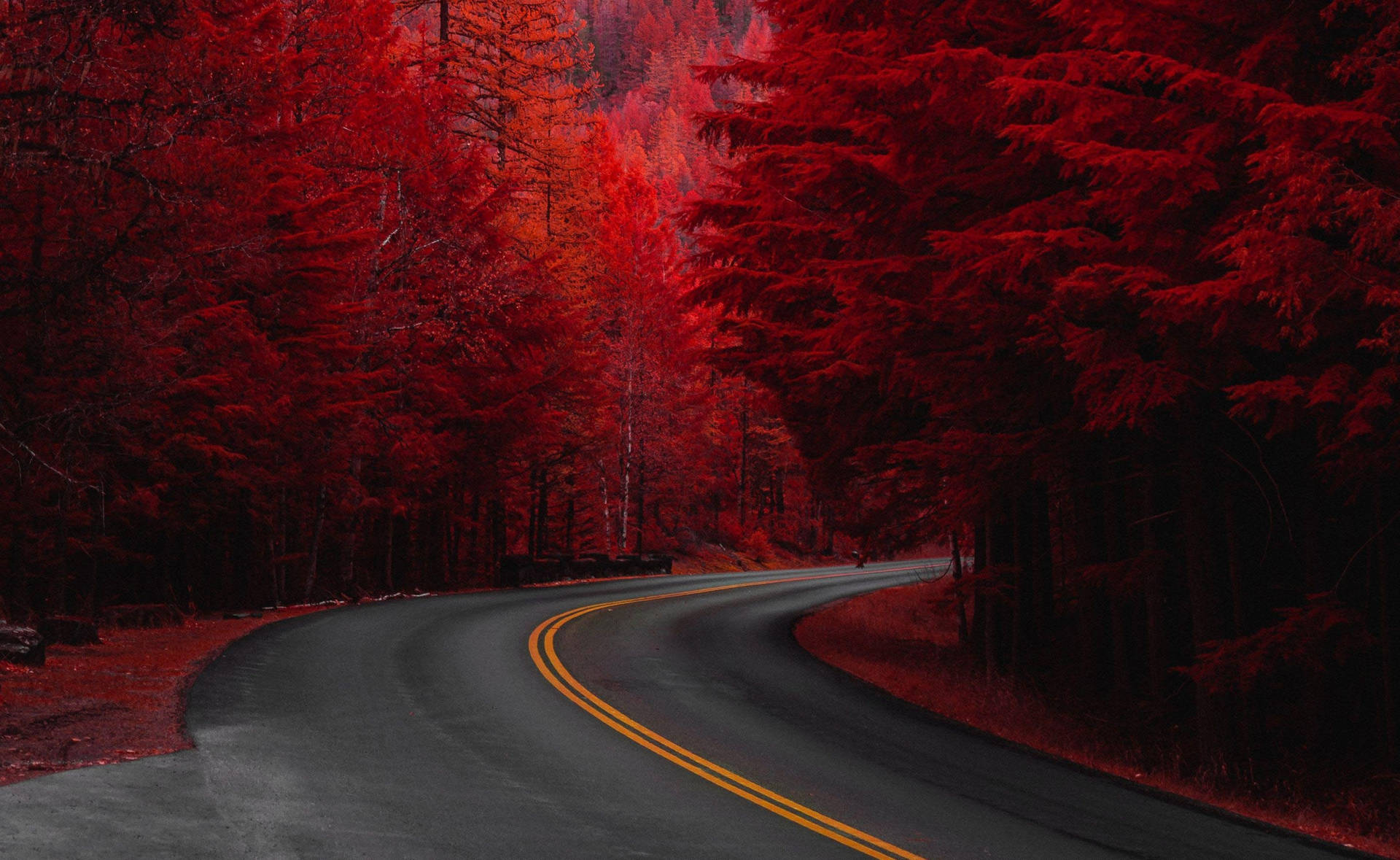 Red Fall Aesthetic Road Wallpaper