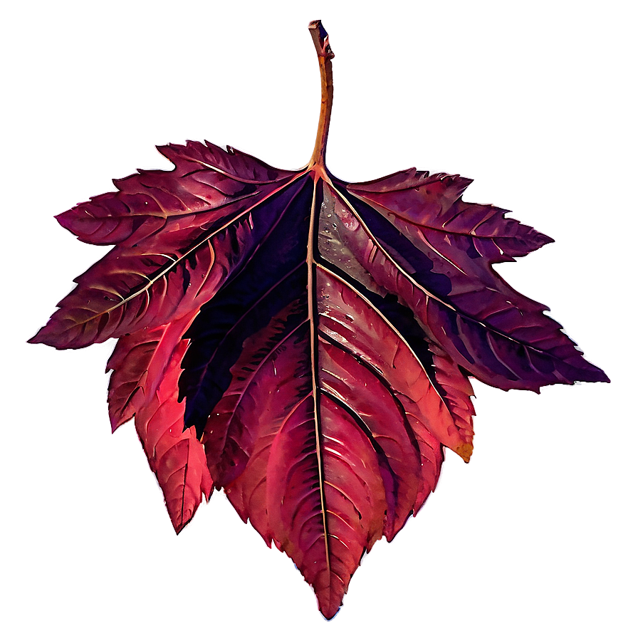 Red Fall Foliage Leaf Png 05252024 PNG