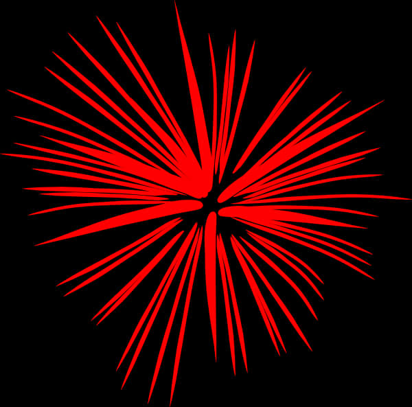 Red Firework Burst Black Background PNG