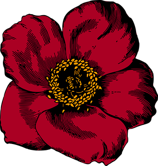 Red Floral Graphic Art PNG