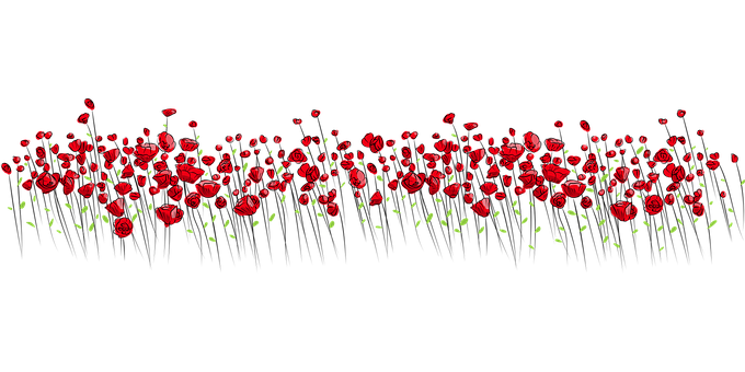 Red Floral Patternon Black Background PNG