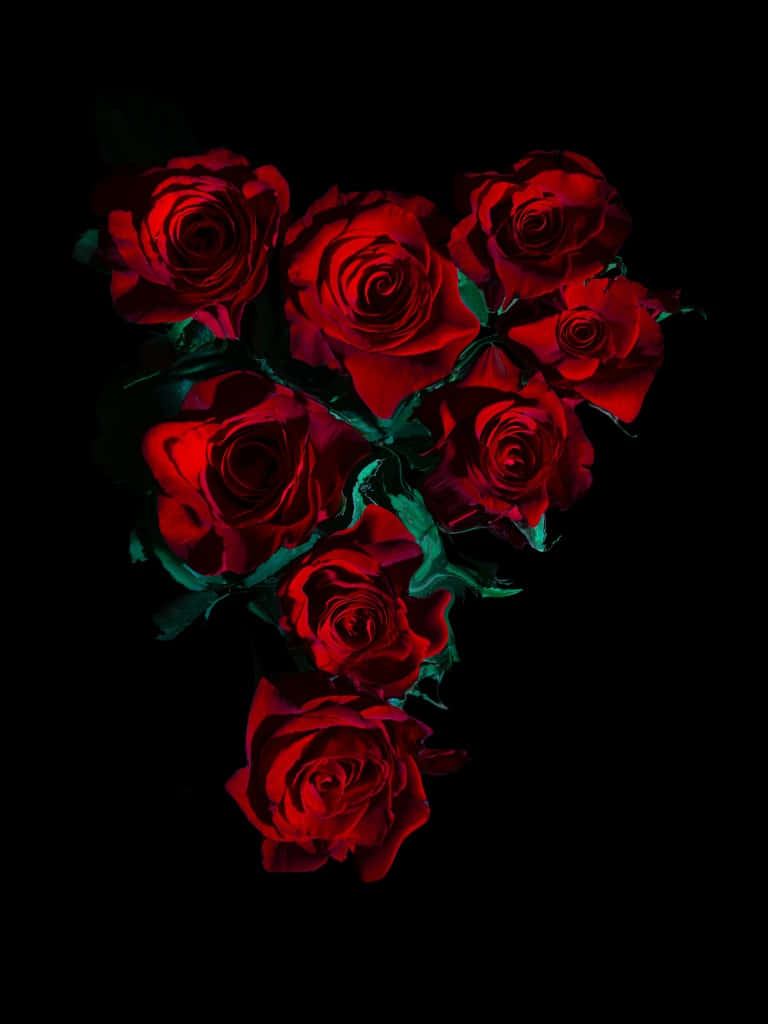 Einewunderschöne Rote Blume In Voller Blüte, Die Ihre Lebendige Ästhetische Schönheit Zur Schau Stellt. Wallpaper