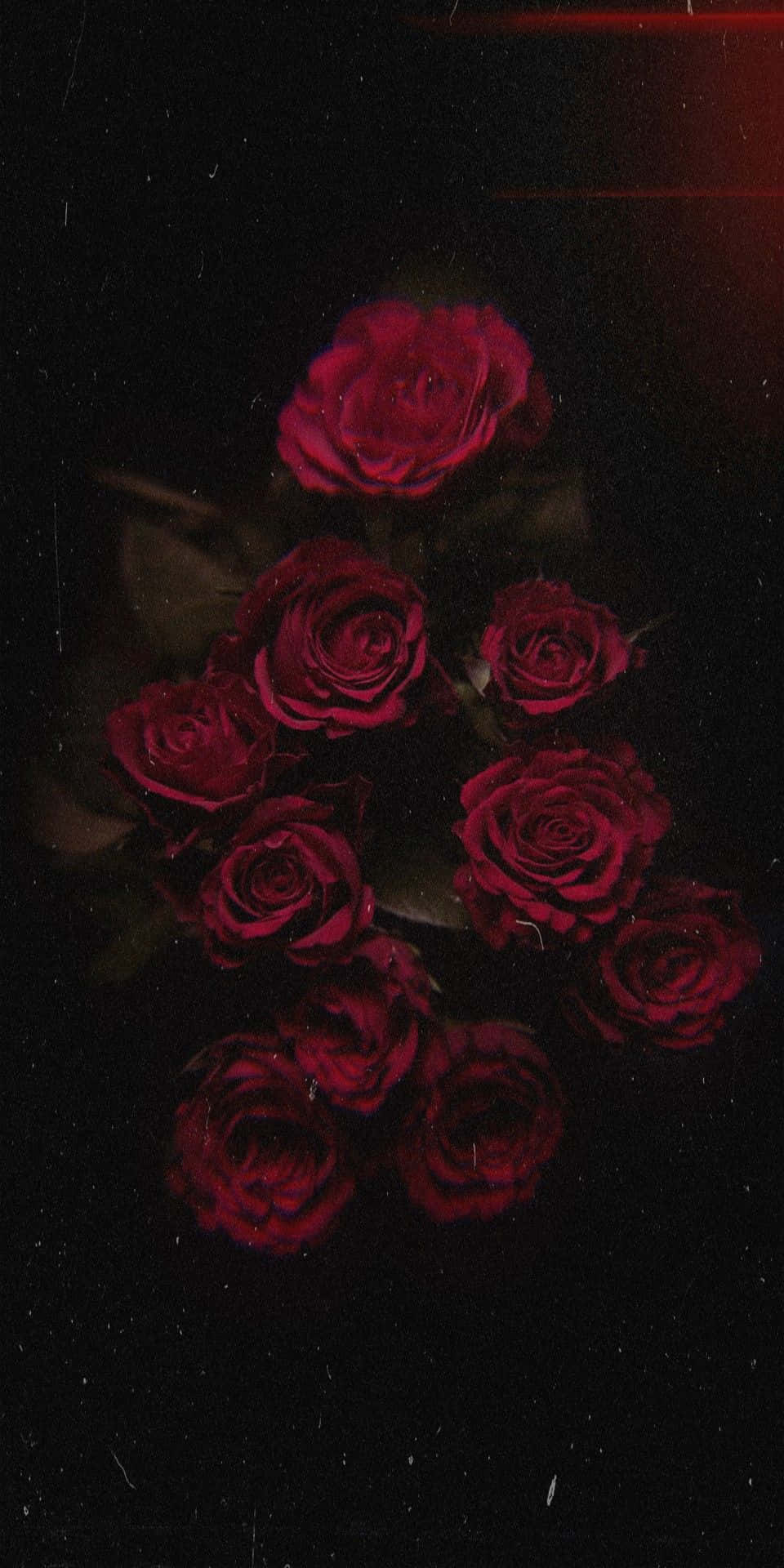 En rød blomst tilføjer et touch af farve og æstetisk appeal. Wallpaper