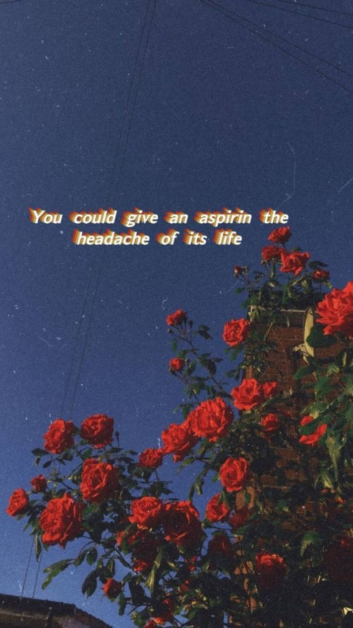 Red Flower Aesthetic Tumblr Quotes Wallpaper