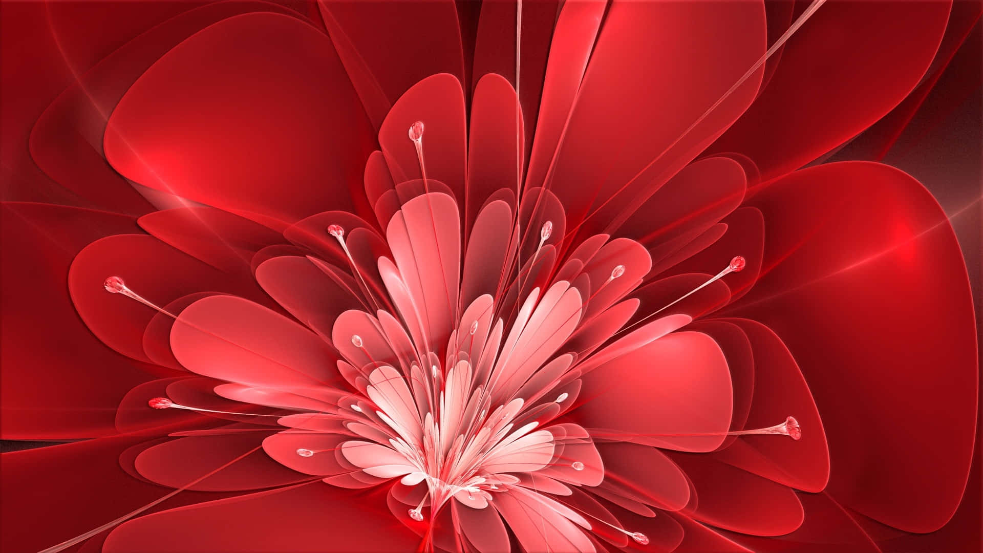 Red Flower Background - High-quality Free Backgrounds