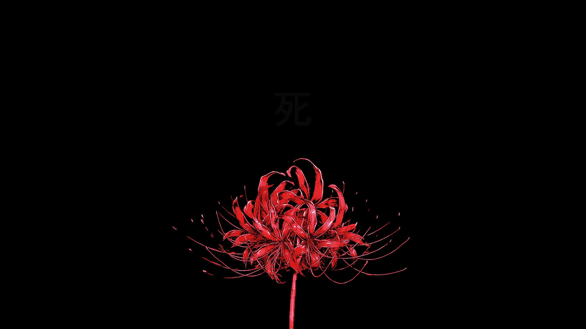 Red_ Flower_ Black_ Background_ Aesthetic Wallpaper