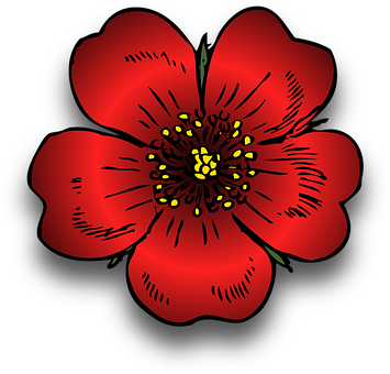 Red Flower Illustration PNG