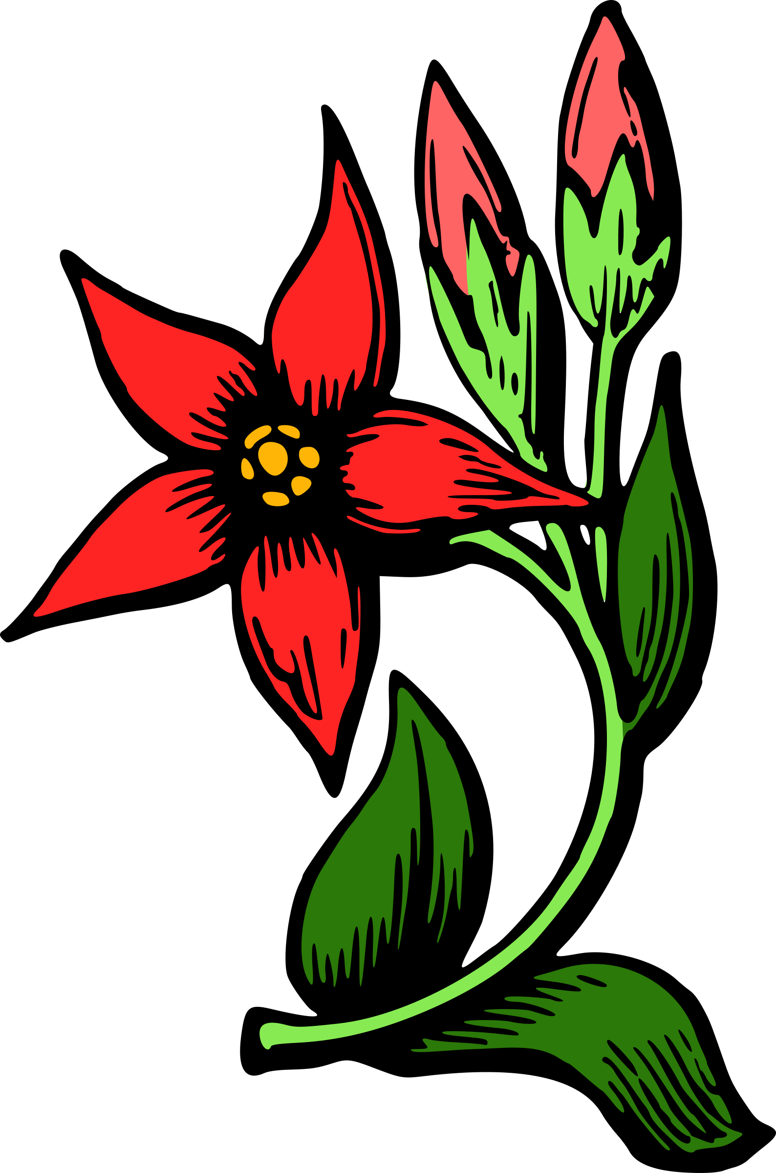 Red Flower Illustration.png PNG