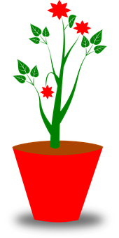 Red Flower Potted Plant Graphic PNG