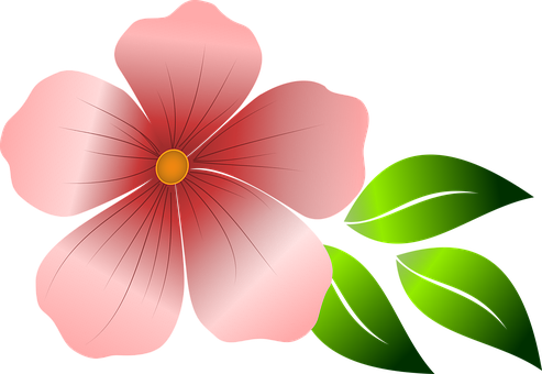 Red Flower Vector Illustration PNG