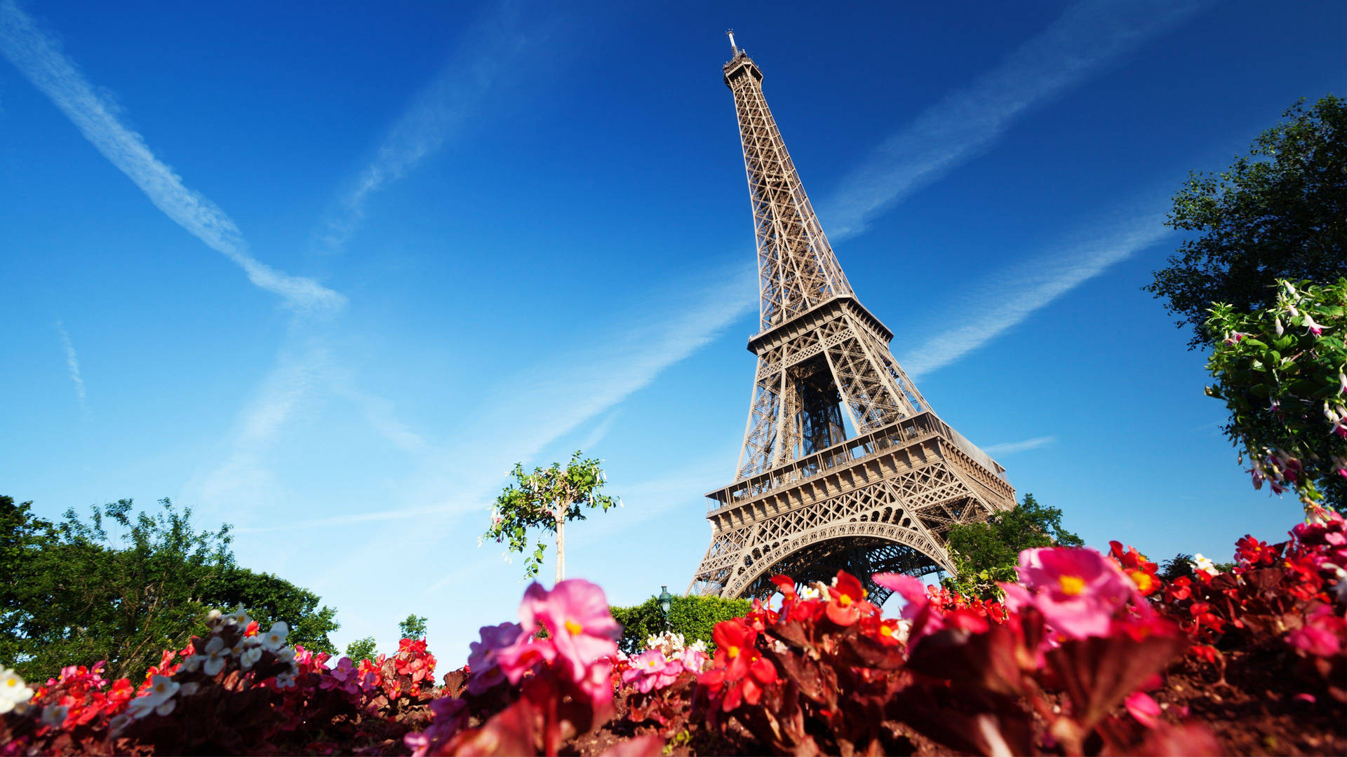 Red Flowers Eiffel Tower Paris Wallpaper