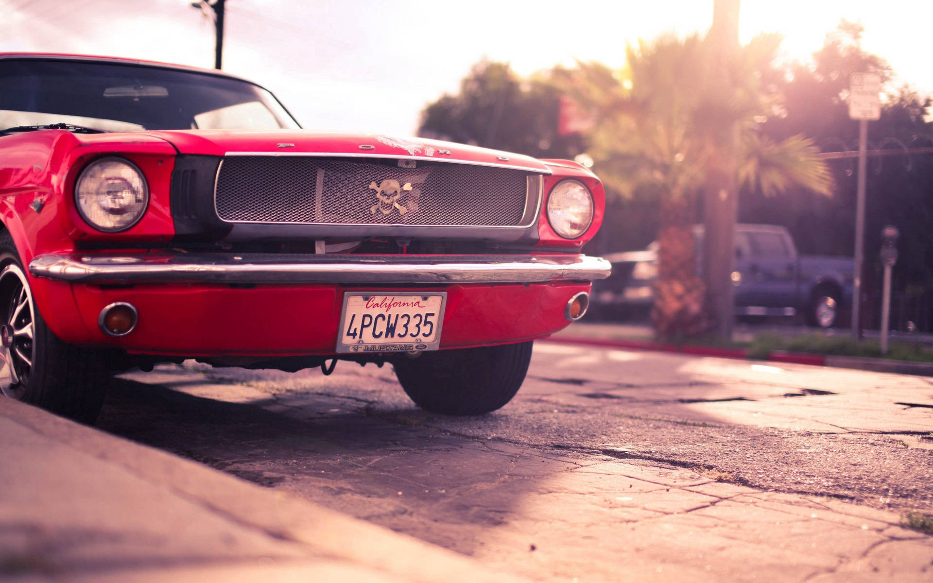 Red Ford Mustang Bumper