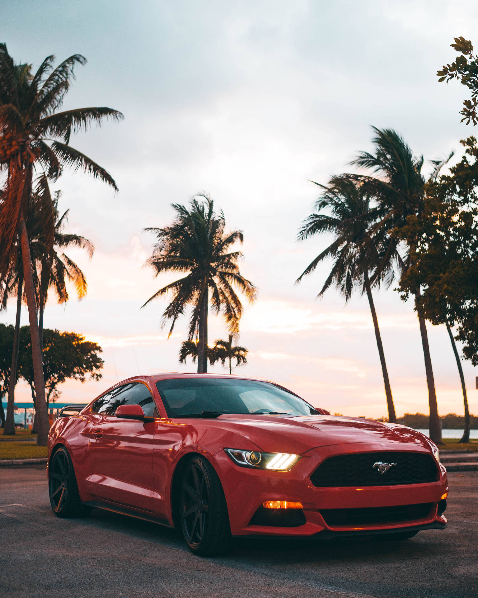 Red Ford Mustang Gt In Sun Set Palm Trees Wallpaper