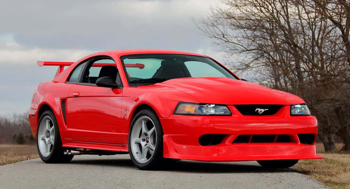 Ford Mustang S V T Cobra Merah Wallpaper