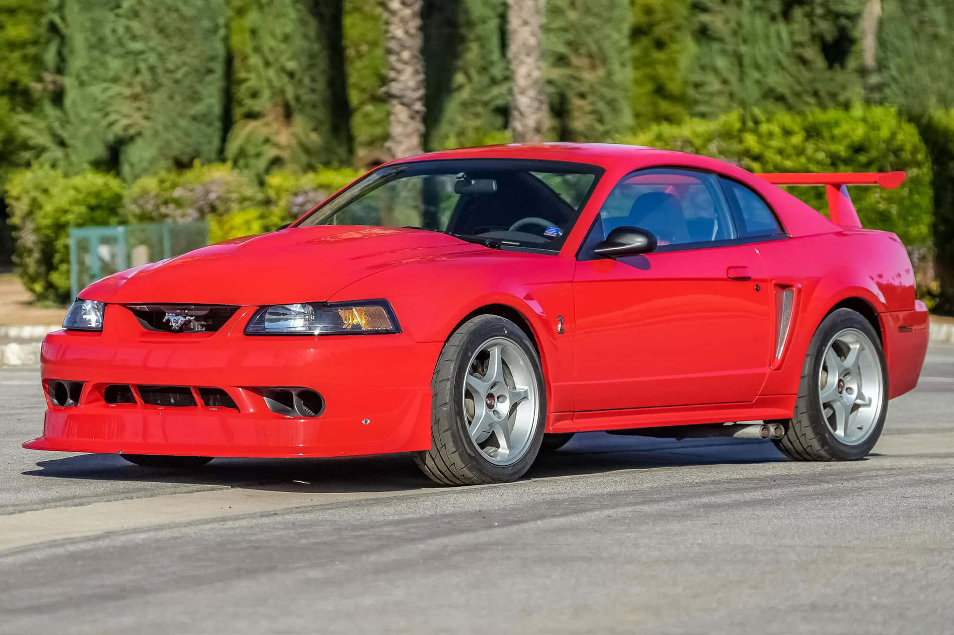 Ford Mustang S V T Cobra Merah Diparkir Wallpaper