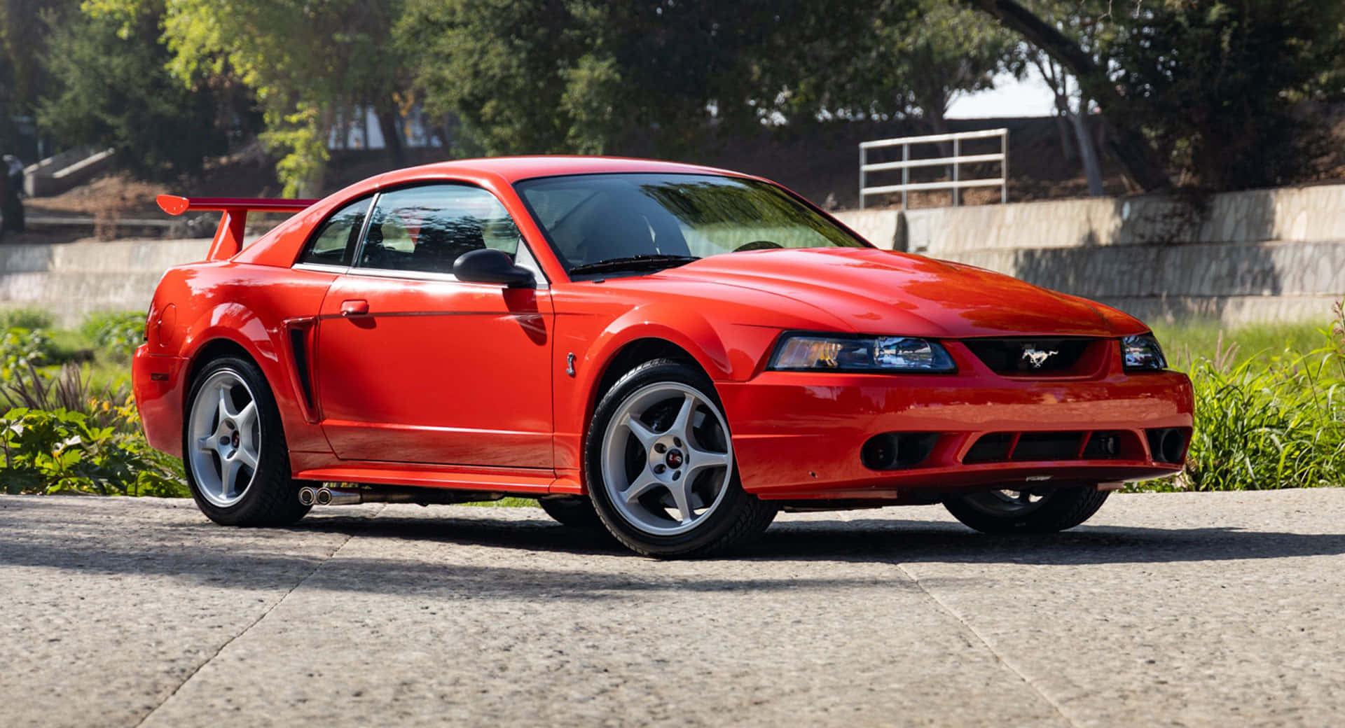 Ford Mustang S V T Cobra Merah Wallpaper