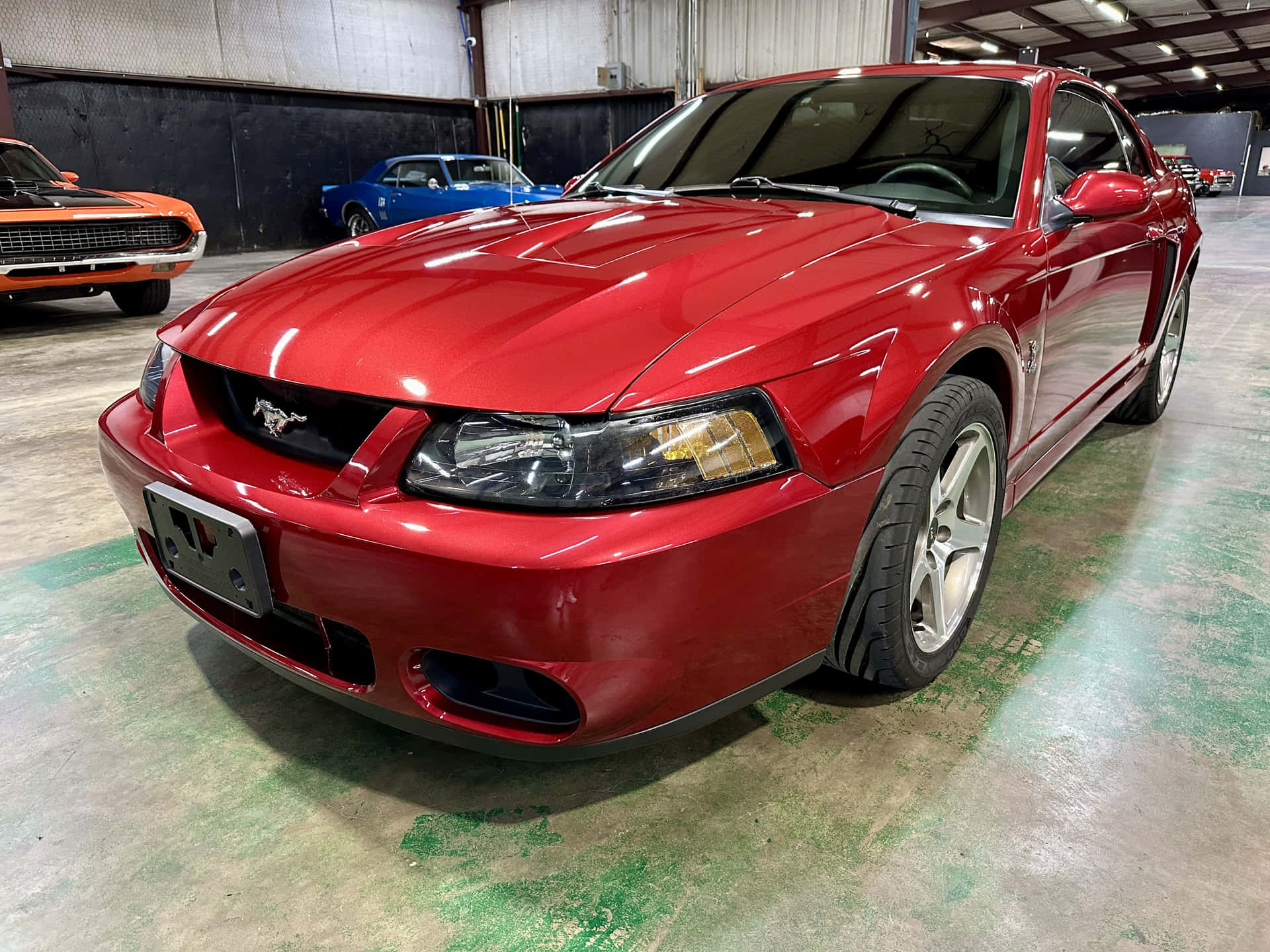 Showroom Ford Mustang S V T Cobra Merah Wallpaper