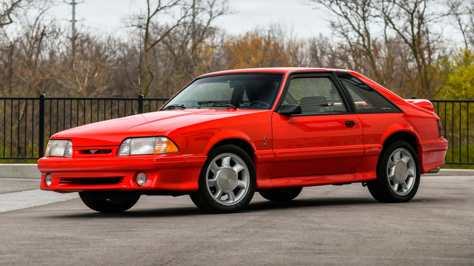 Ford Mustang S V T Cobra Rouge Fond d'écran